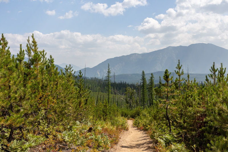 Early view on the ascent towards the Flathead Range.