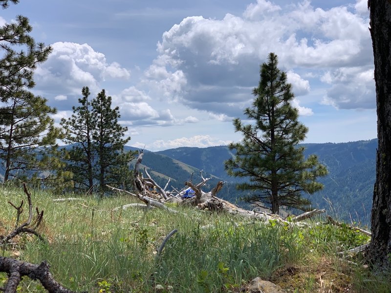 View to the southeast at the end of the trail.