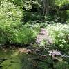 Creek crossing.