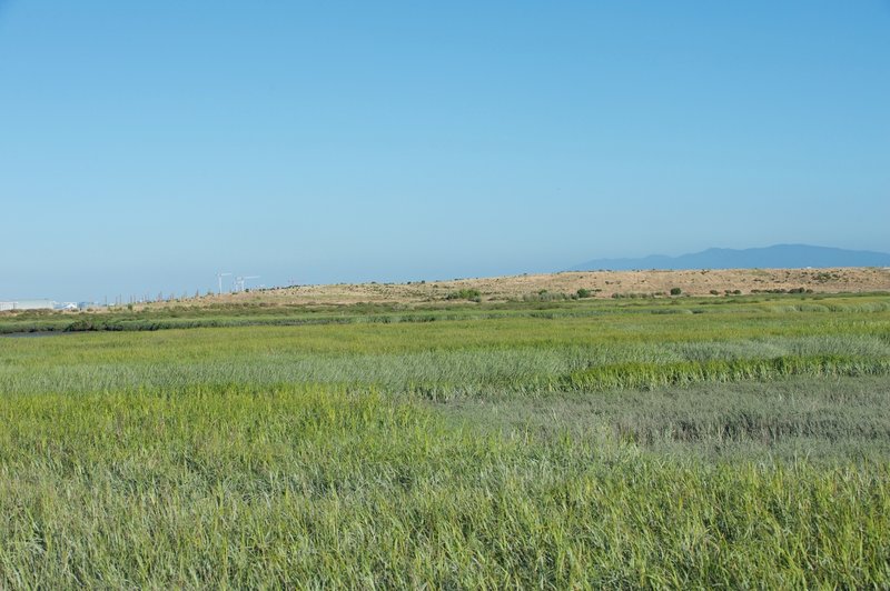 Looking over the marsh toward Byxbee Park.