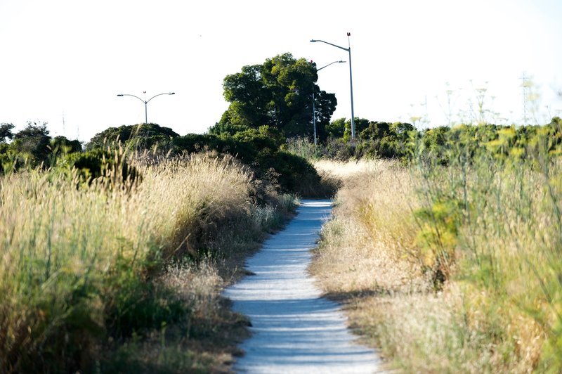 The trail is made up of decomposed granite and crushed oyster shells and makes its way along the edge of the marsh. The trail, shared by bikers, hikers, and runners, is wide enough for 2 people to pass each other, but that's about it.