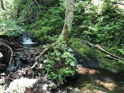 Sweet little falls and wading pool