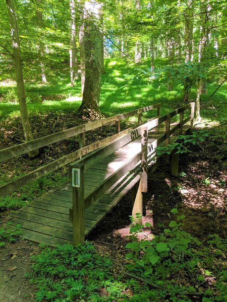 Short bridge over a dry stream bed along the Medicine Tree Trail.