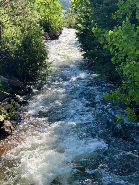 Creek running into the reservoir.