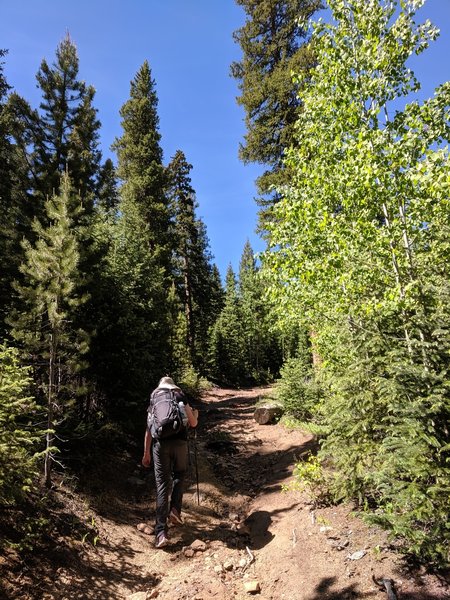 Ascending the Beaver Meadows Trail.