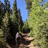 Ascending the Beaver Meadows Trail.