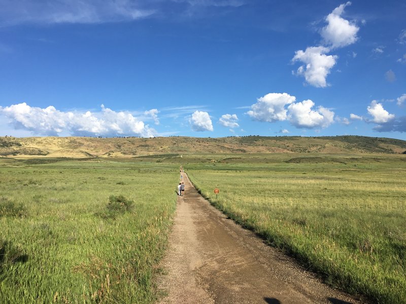 Coyote Ridge Trail Hiking Trail, Loveland, Colorado