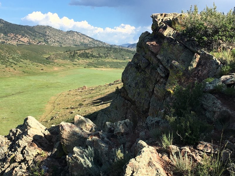 Top of Coyote Ridge facing north.