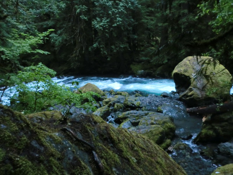 River at 5 mile camp.