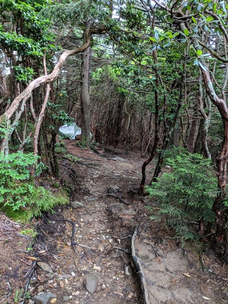 Keep heading down to the left as you pass the giant quartz rocks