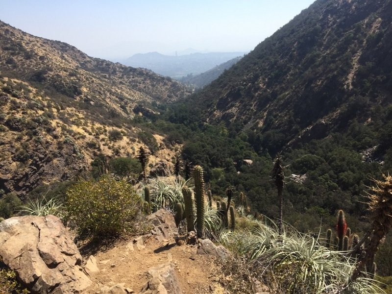 View from Mirador Los Pozones