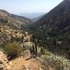 View from Mirador Los Pozones