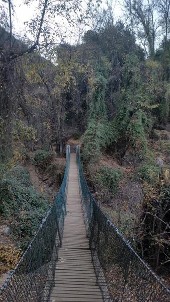 The Los Peumos bridge