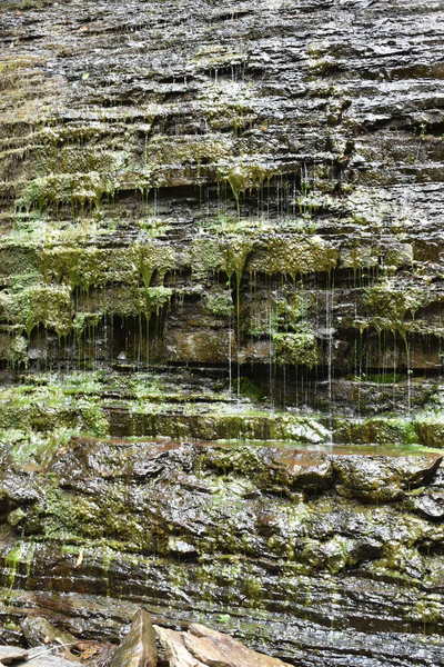 Weeping rock at Abrams Falls