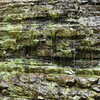 Weeping rock at Abrams Falls