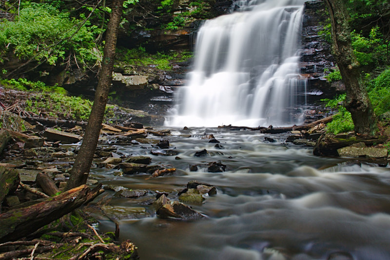 A summer view of Ganoga Falls in Rickets Glenn State Park