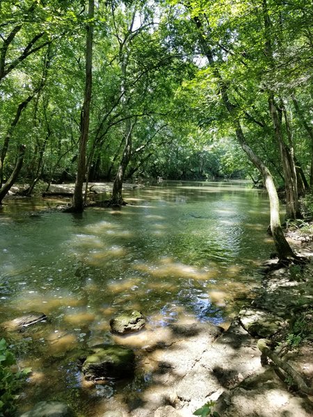 Along the red trail at Marshall Knobs in Murfreesboro, TN