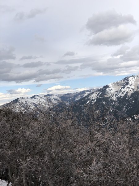 Looking East into Millcreek Canyon. If you see that tall balding spot in the back, you are looking at Murdock Peak. That's right! Murdock Peak of PCMR!