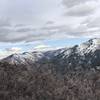 Looking East into Millcreek Canyon. If you see that tall balding spot in the back, you are looking at Murdock Peak. That's right! Murdock Peak of PCMR!