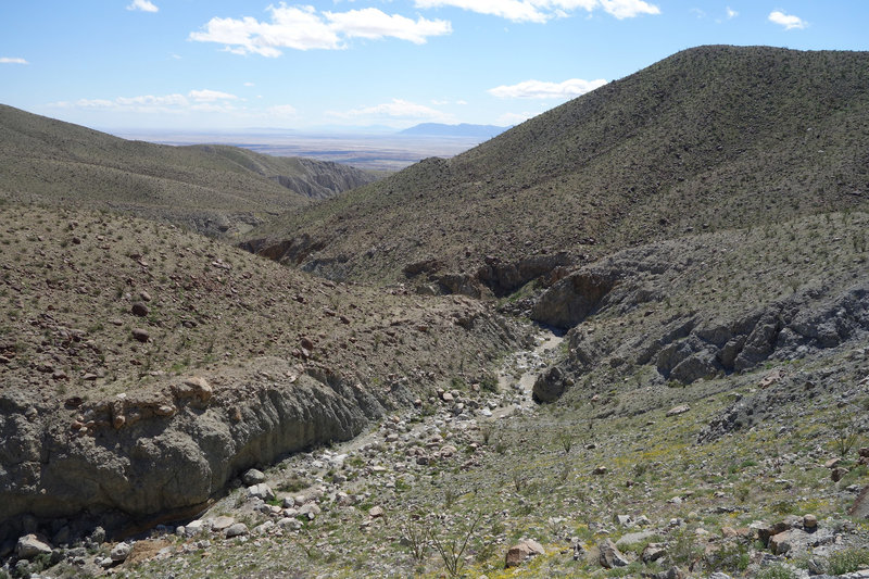 Smoke Tree Canyon