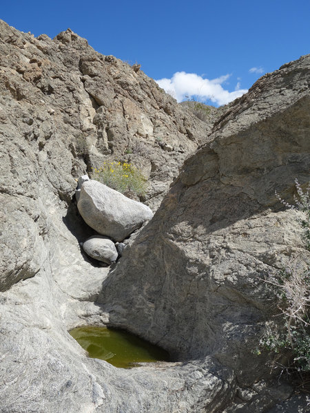 First natural rock tank