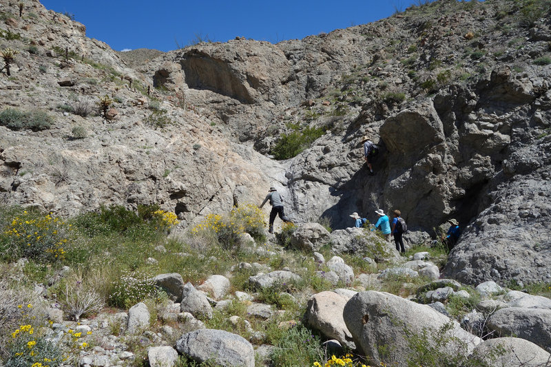 Hikers at the thrid natural rock tank in the spring following a wet winter