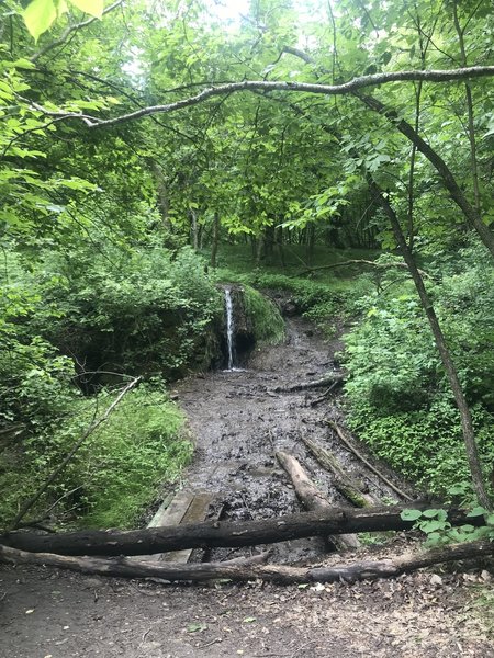 Though the mosquitos were fierce, this was a beautiful hike on the 4th of July, 2019. I appreciated the destination point of the waterfall.