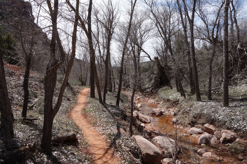 Early spring in Kolob Canyon