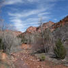 One of many LaVerkin creek crossings