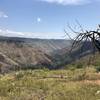 View to east into Wenaha River canyon