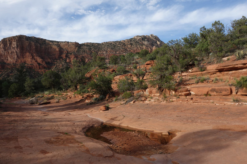 Water pocket on the Courthouse Butte loop hike