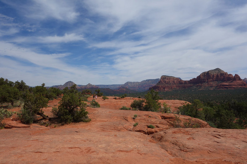 Slickrock section of the Slim Shady trail