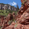 Hiker with a view on the North Kaibab trail