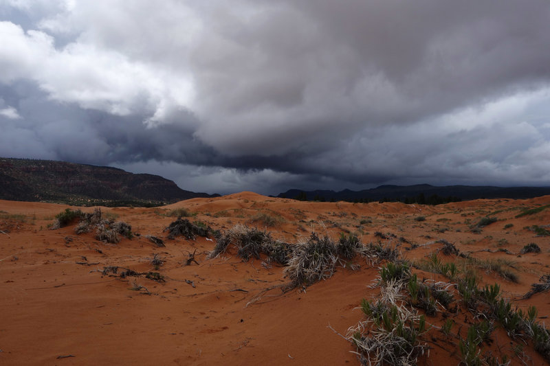 Hail storm approaching Coral Pink Sand Dunes SP from the southeast