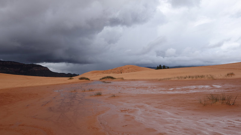 Hail storm at Coral Pink Sand Dunes SP