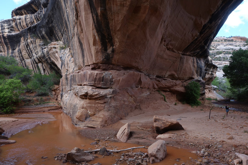 Below Kachina Bridge.