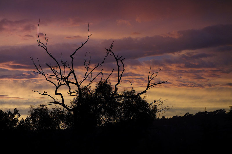 Rare dusty pink sunset in Little Shaw Valley.