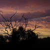 Rare dusty pink sunset in Little Shaw Valley.