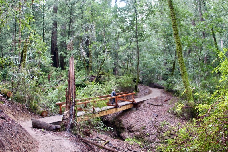 Bridge on Skyline to the Sea Trail