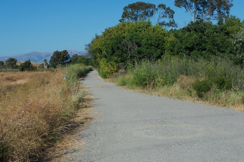 When the trail turns away from Bayshore Road, the trail turns back to gravel as it makes its way into the marshlands along Matadero Creek.