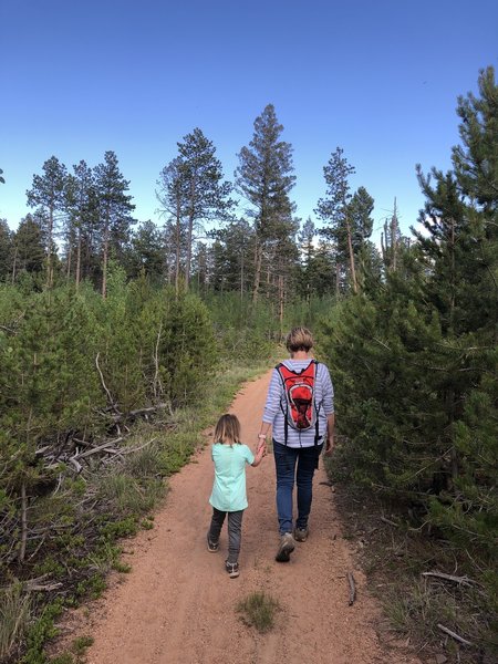 Beaver Creek Trail #732