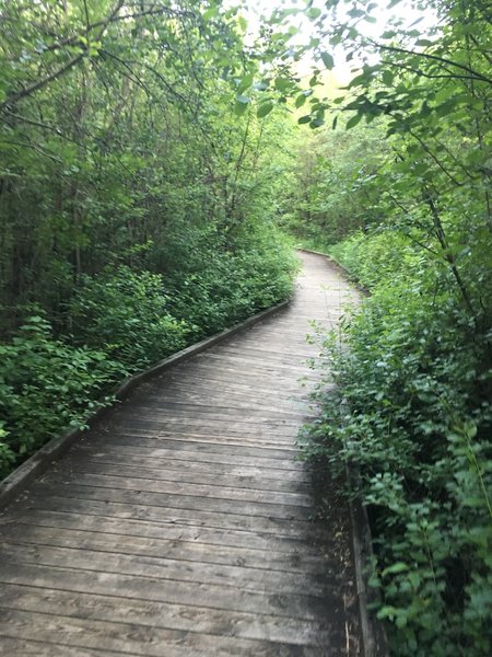 Boardwalk through wetland. No bikes allowed.