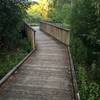 Boardwalk through wetland approaching viewing platform.