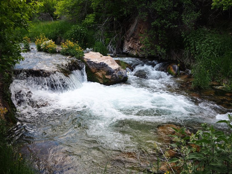 Jones Hole Creek