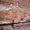 Fremont Culture petroglyphs in Jones Hole.