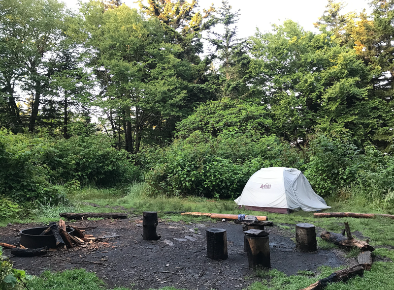 Camp 38