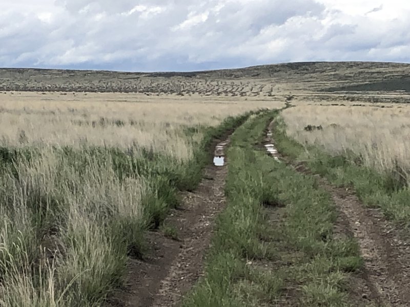 Idaho Centennial Trail - looking south.