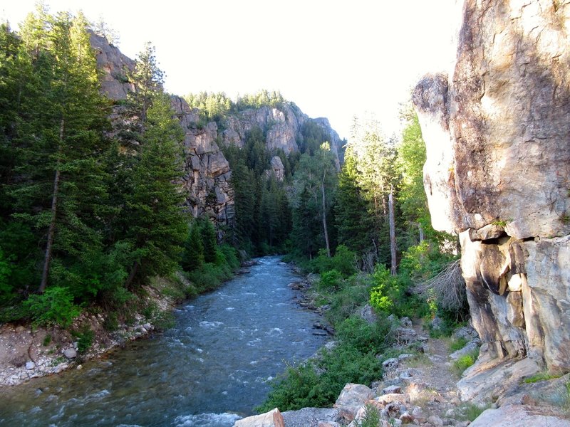 Deep in the Little Bighorn River.