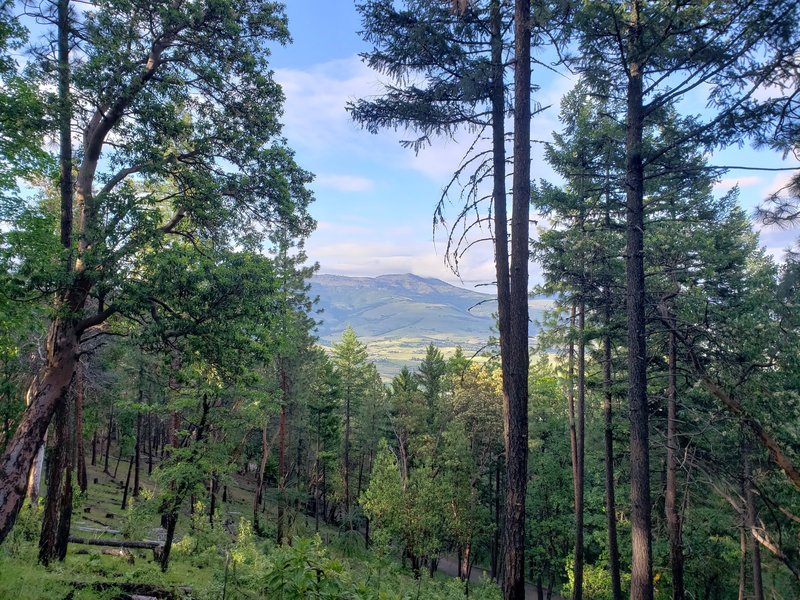 View from Bandersnatch Trail.