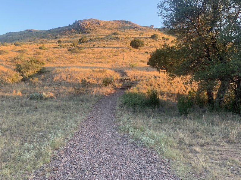 Start of Montezuma Quail Trail.